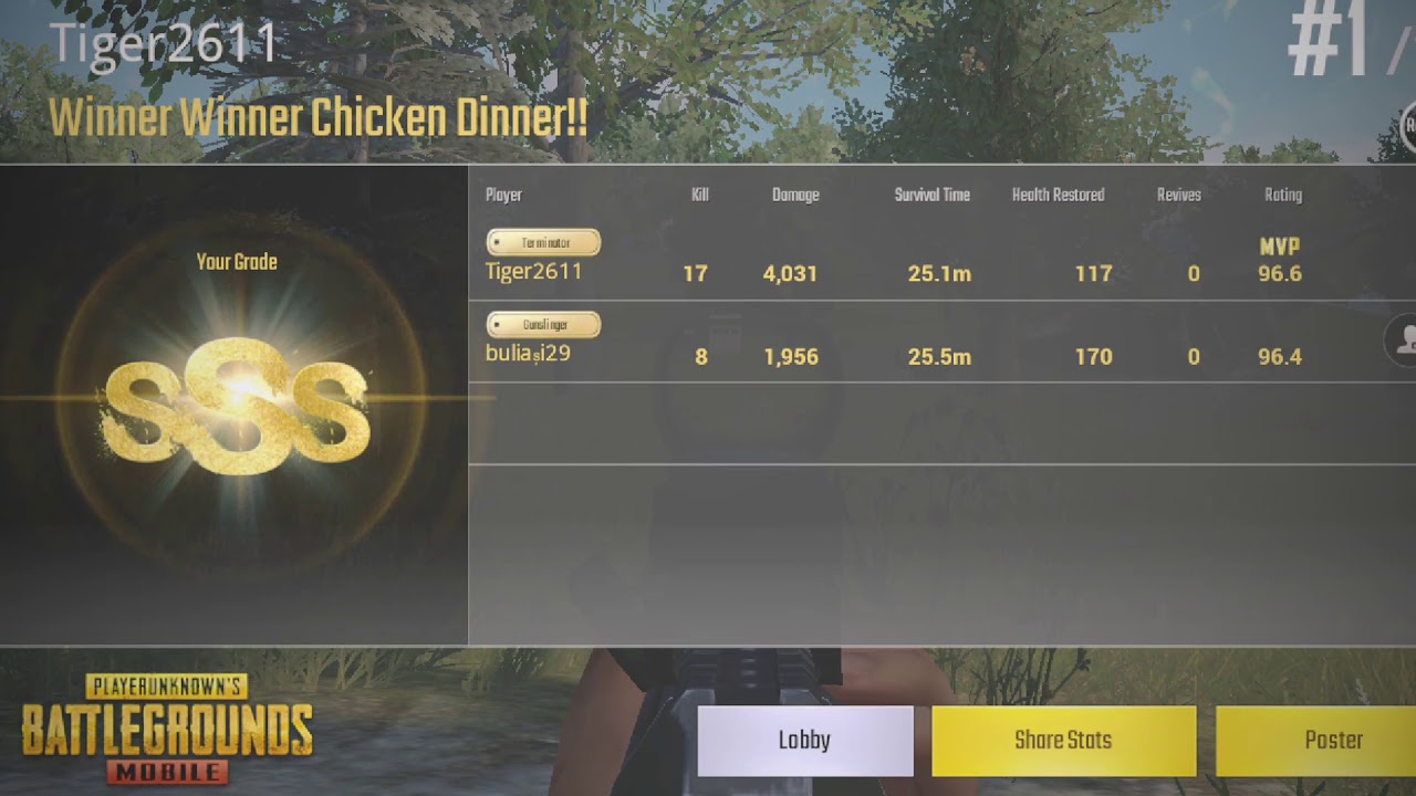 Pubgm mes stat