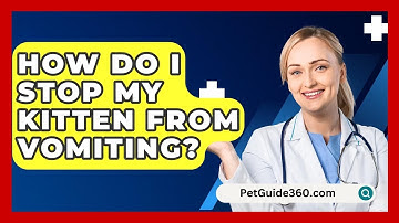 How Do I Stop My Kitten From Vomiting? - PetGuide360.com