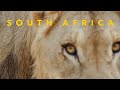 South Africa | Cinematic travel video