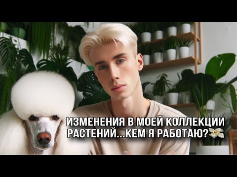 ИЗМЕНЕНИЯ В КОЛЛЕКЦИИ РАСТЕНИЙ! МОЯ НОВАЯ РАБОТА И ОБЗОР ЗЕЛЕНОЙ СТИЛЬНОЙ КВАРТИРЫ🧚🏻♂️💁🏼