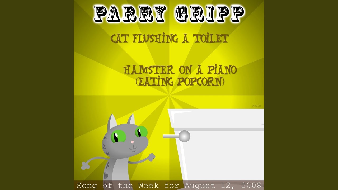 Cat Flushing a Toilet YouTube Music