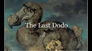 Eleventh Second - The Last Dodo - Tribute Song (Synthwave Instrumental Piano Music)