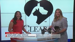 Kristen with Sinclair Law explains importance of commitment when adopting