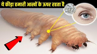 ये सूक्ष्म जीव आपके चेहरे पर रहते है और प्रजनन करते है  Hidden world of microscopic life