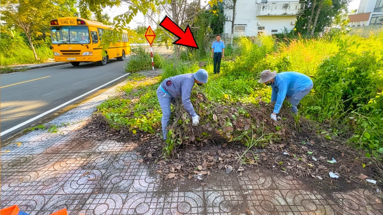 Власти были по-настоящему ШОКИРОВАНЫ, когда заросший сорняками тротуар очистили бесплатно.