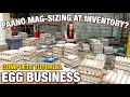 PAANO KAMI MAG-INVENTORY AT SIZING SA EGG BUSINESS? Complete Tutorial-Philippines | Tinmay Arcenas❤️