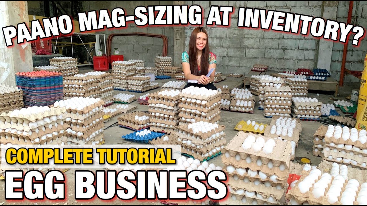 PAANO KAMI MAG-INVENTORY AT SIZING SA EGG BUSINESS? Complete Tutorial-Philippines | Tinmay Arcenas❤️