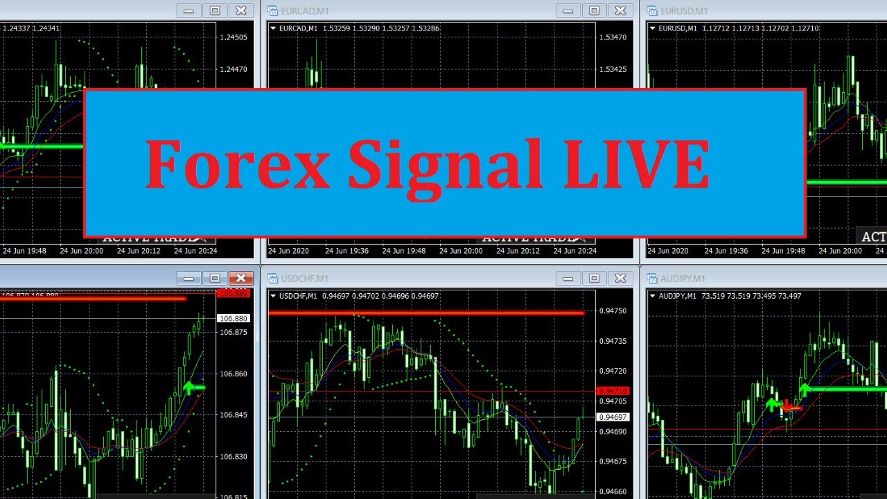 LIVE FOREX SIGNALS - YouTube