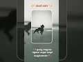 Munde Saagu 🏇💫| Motivation Attitude Status Videos 🔥😎 #munde #shorts #short #trending #inspiration