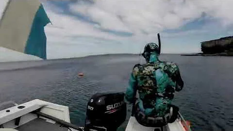 Spearfishing Jervis Bay