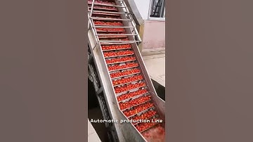 China Tomato Paste Automatic Washing Line