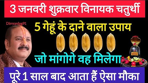 3 जनवरी शुक्रवार विनायक चतुर्थी तिथि के दिन 5 गेहूं के दाने वाला उपाय जरूर करे || Pradeep Ji Mishra