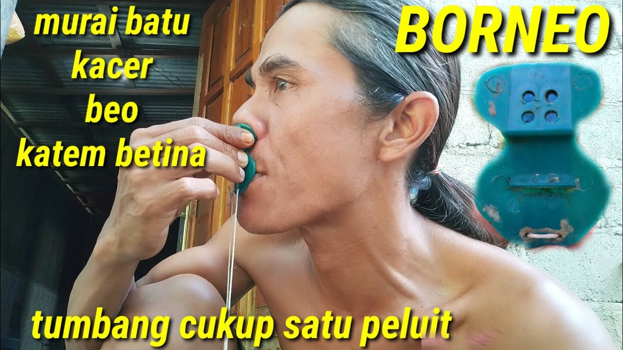 CARA MENIUP PELUIT KUPU KUPU II TUTORIAL