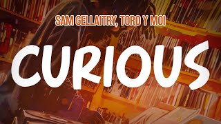 Sam Gellaitry, Toro y Moi - CURIOUS (Lyric Video)