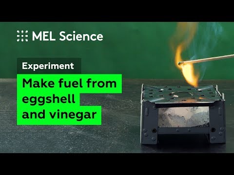 How to make fuel from eggshell and vinegar (experiment for survivals)