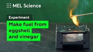 How to make fuel from eggshell and vinegar (experiment for survivals)