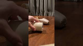 DFJ Miss Renay Pointe Shoe Tips for Slippery Surfaces at Home