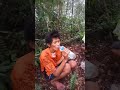 Proses evakuasi orang tersesat di gunung gede pangrango part 2