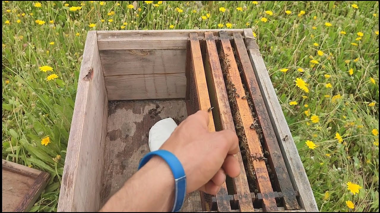 حينما يعوضك الله خيرًا مما فقدت 🌺