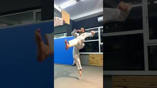 Taekwondo/ 540 Kick