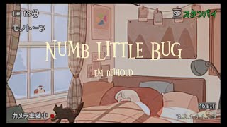 Numb Little Bug - Em Beihold (Lyrics)