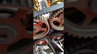 Fact About Car Timing Belt