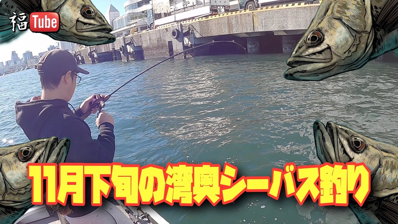 11月下旬の湾奥シーバス釣り