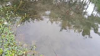 Download Lagu DJ SLOWBASS TERBARU 2025 || DJ AISHITERU 2 - SIKSA MENANGGUNG RINDU || DJ BINTANG 5 TENXI VIRAL MP3