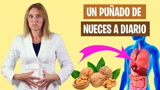 Qué SUCEDE si comes NUECES todos los DÍAS | Beneficios de las nueces | Alimentación real saludable