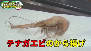 テナガエビを釣って食ってみた！2/2