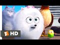 The Secret Life of Pets - Taking A Shortcut Scene | Fandango Family