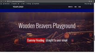 11 1 Deactivating Beaver Builder