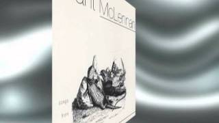 Video voorbeeld van "Grant McLennan - All Her Songs"