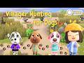Villager Hunting for More Puppies | ACNH Live Stream