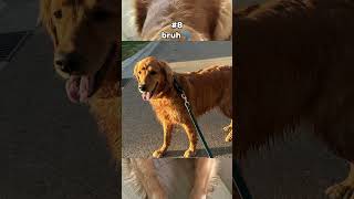 Meme sounds for ur videos