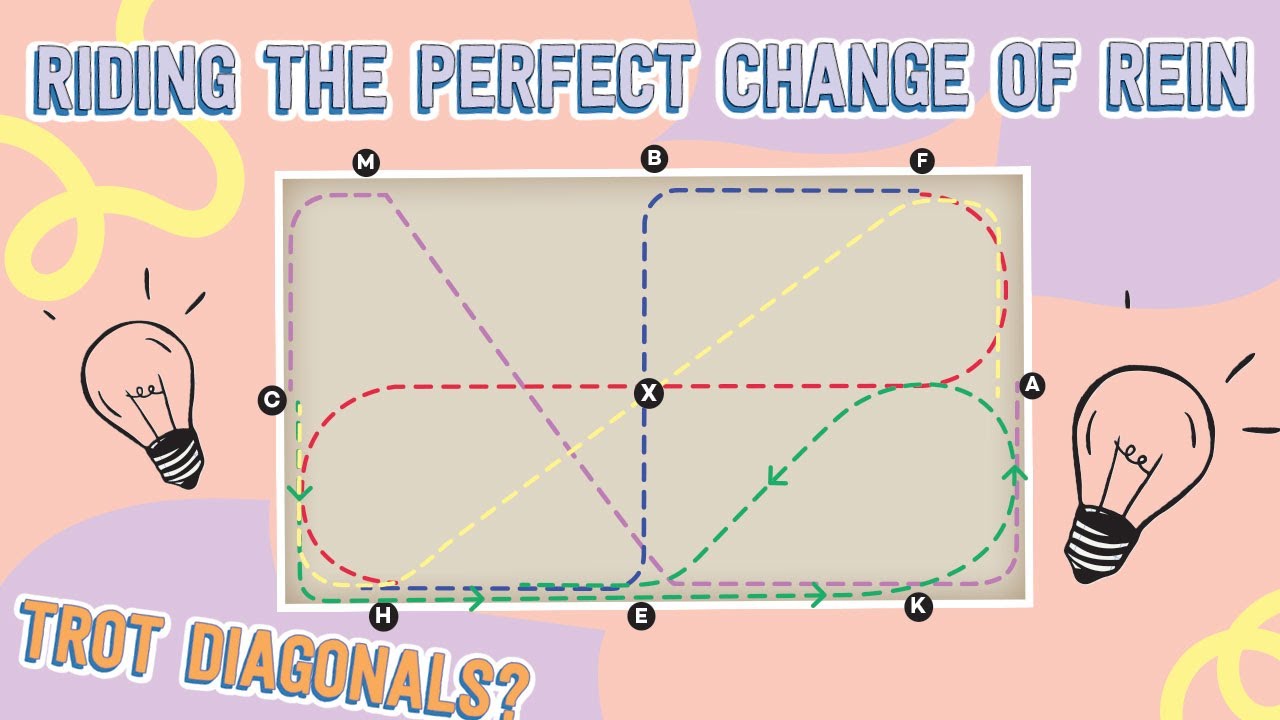 Diagonal In Riding Trot diagonals explained and how-to ride the perfect change of the rein ...