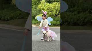 In 2 years earned 65 million yuan HumanBaby CuteKids LuxiDad LittleLuxi ContentInspirationSearch