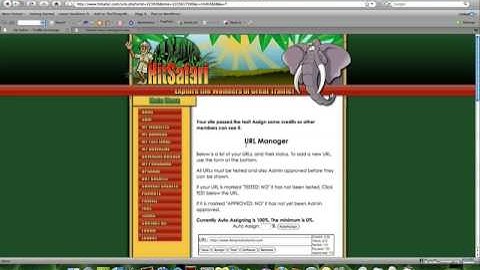 Free Traffic Rotators aka Traffic Exchanges: How Do They Work?