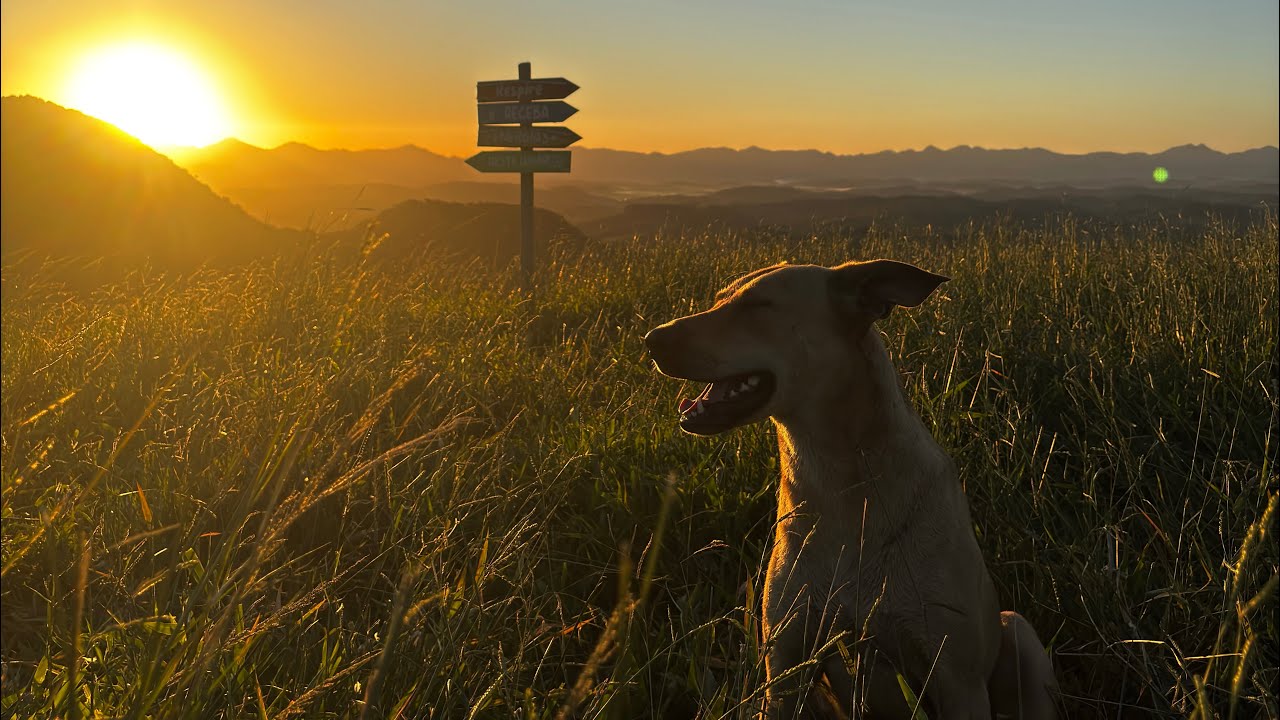 Cry - Cigarettes After Sex (cinematografic vídeo) 