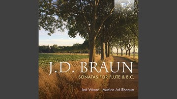 Flute sonata sesta in G Major, Op. 7: III. Largo II