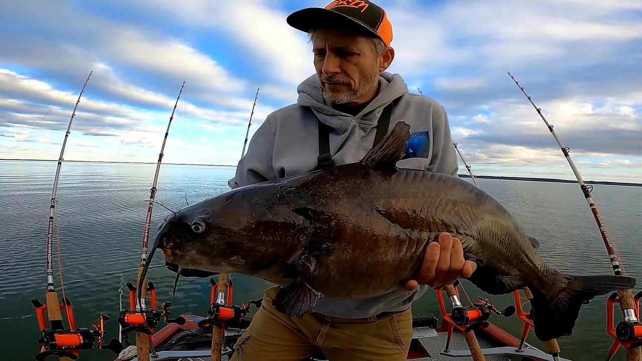 Anchored up on Lake Moultrie for winter catfish YouTube