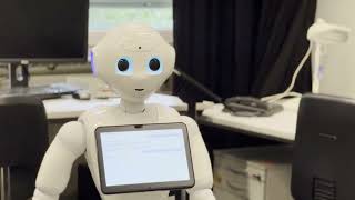 Pepper Navigation Demo - August 2025