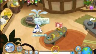 Animal Jam: Rare Item Monday - Rare Hat And Curly Wig