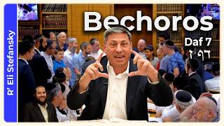 Download lagu Daf Yomi Bechoros Daf 7 by R' Eli Stefansky