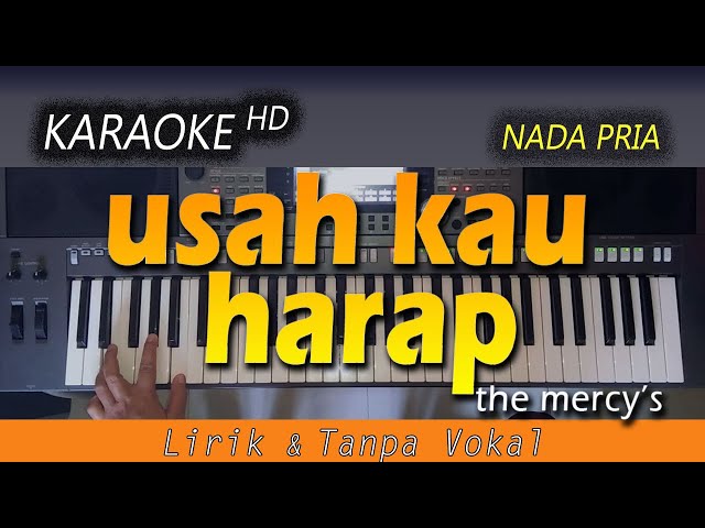 USAH KAU HARAP LAGI - The Mercys | KARAOKE Lirik HD class=