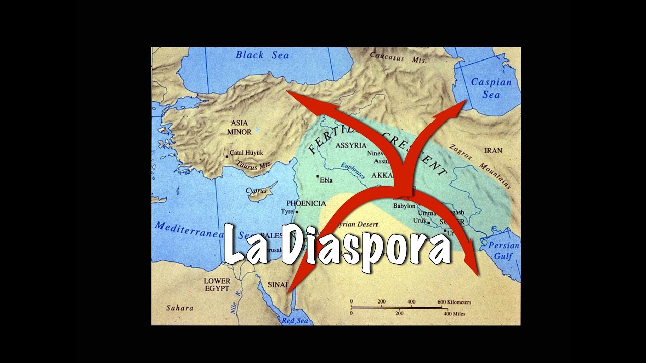 Diaspora And Diaspora