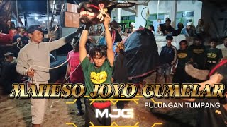 Bantengan (MjG MAHESO JOYO GUMELAR) special perfom kalapan full panjak
