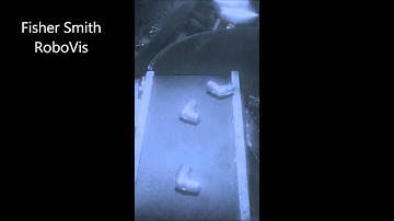 RoboVis