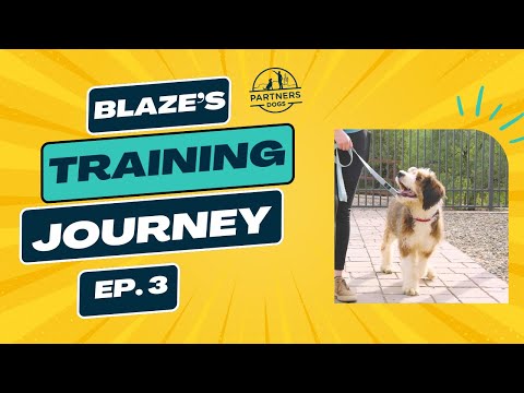 Blaze: Episode 3