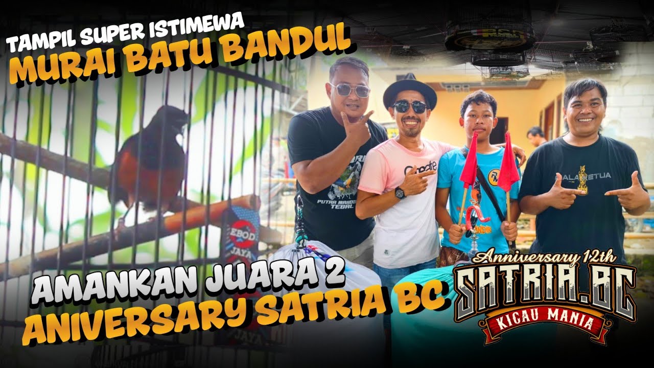 Tampil super istimewa!! Murai bandul milik H.dul putra mandiri sf tegal juara 2 aniv satria bc 12